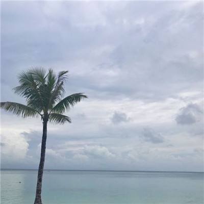 暗黑新大陆手游下载